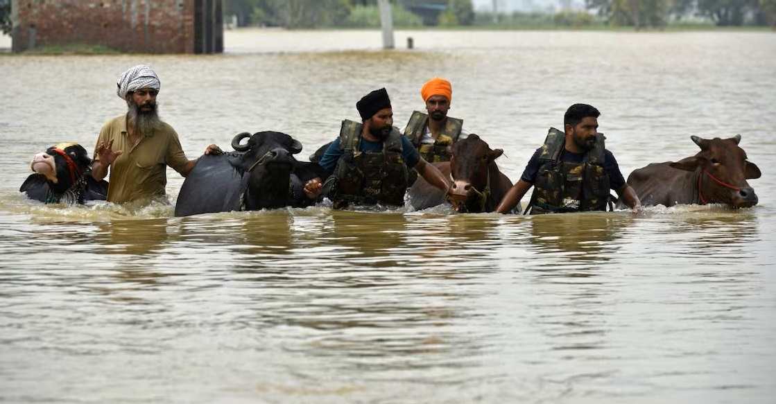 Punjab Flood Relief Efforts